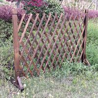 זוג גדרות עץ נפתחות אקורדיון לתיחום וטיפוס צמחים