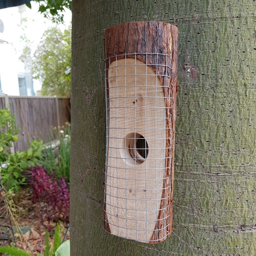 מתקן האכלה ייחודי לציפורים לשימוש בגינה ובמרפסת