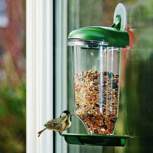 מתקן האכלת ציפורים שקוף הנצמד לחלון