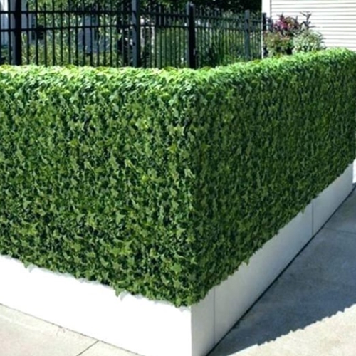 גדר קיר מצופה דשא סינטטי דגם יהלום 2 מטר / 10 מטר